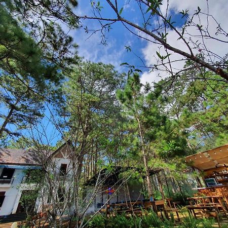 Chino Homestay Mang Den - Villa Tai Mang Den Tỉnh Kontum Eksteriør bilde