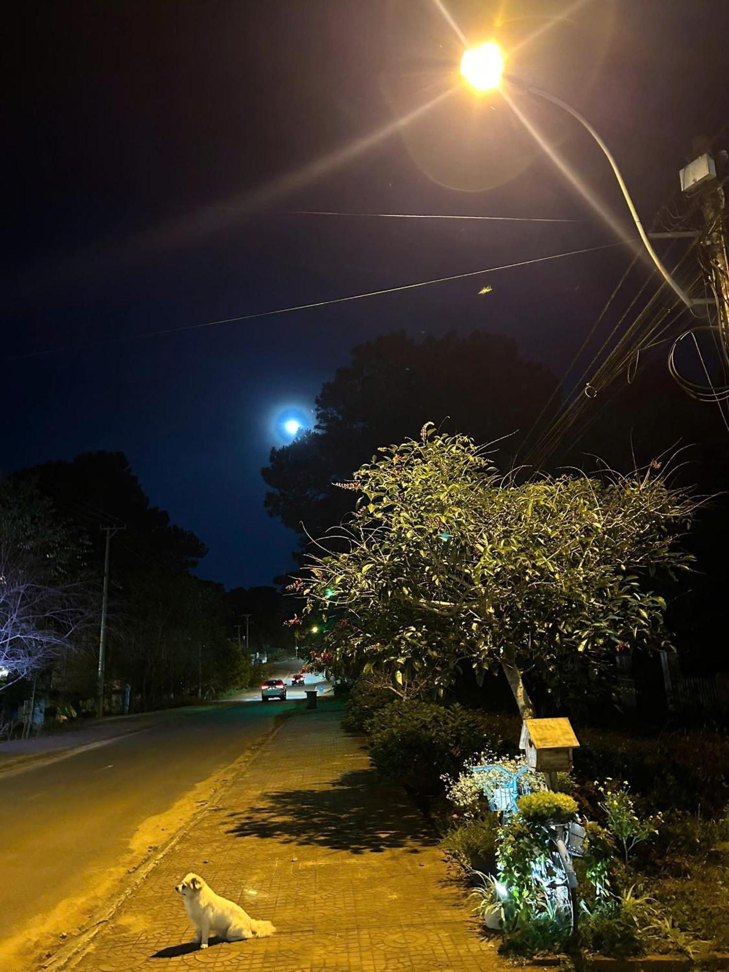 Chino Homestay Mang Den - Villa Tai Mang Den Tỉnh Kontum Eksteriør bilde