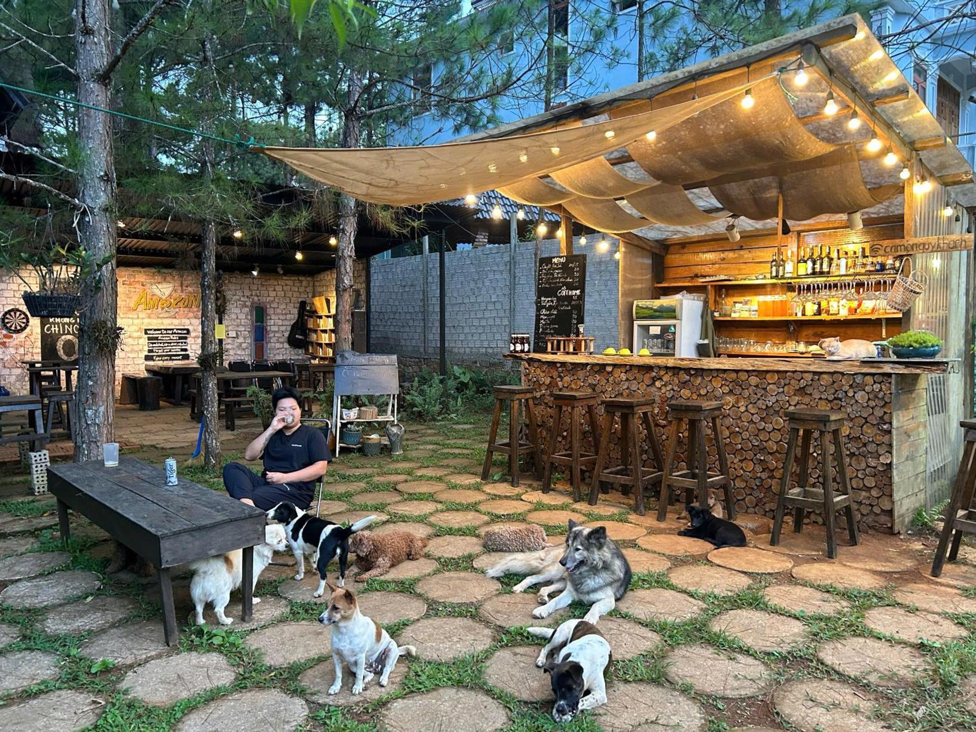 Chino Homestay Mang Den - Villa Tai Mang Den Tỉnh Kontum Eksteriør bilde