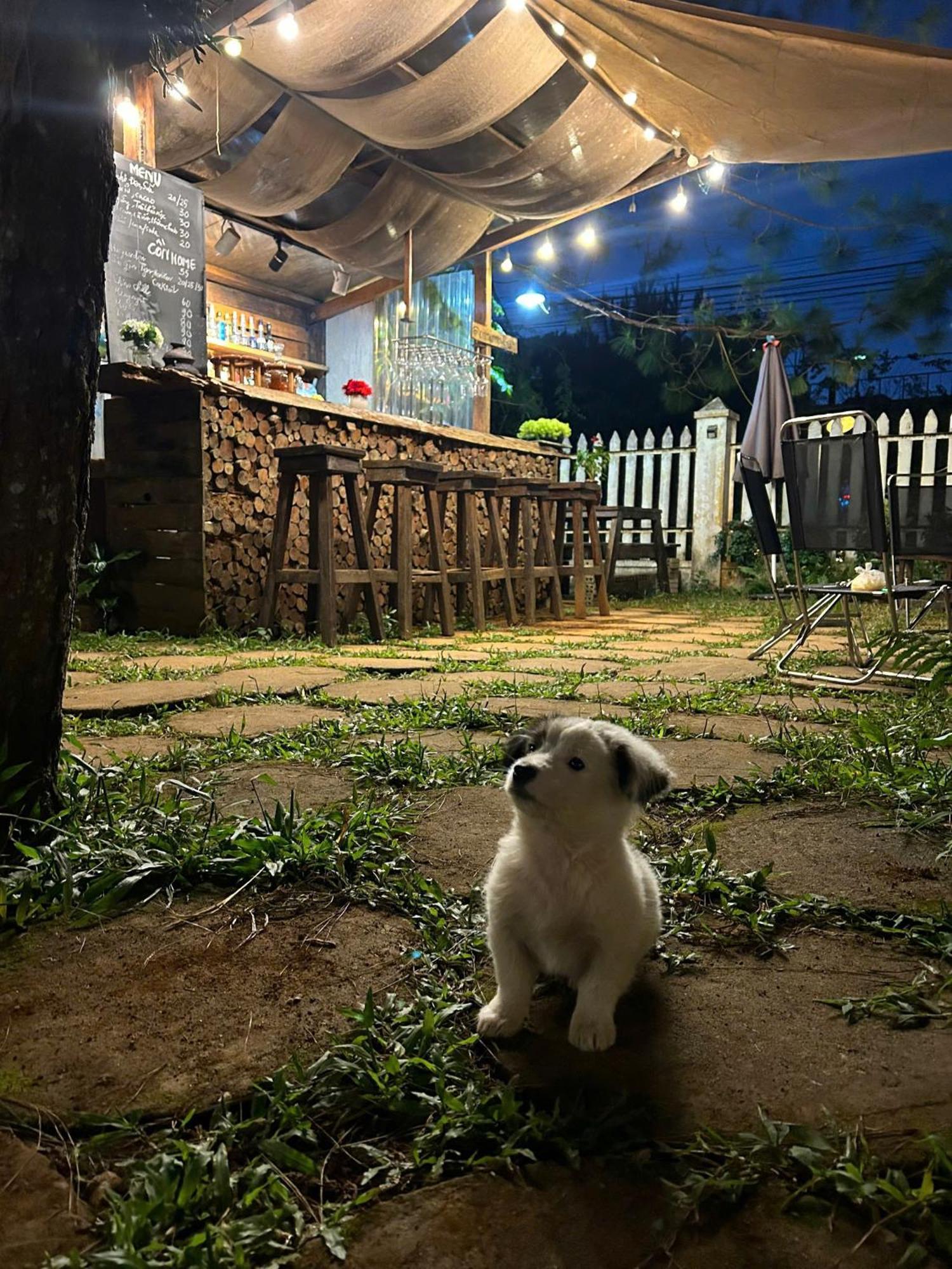 Chino Homestay Mang Den - Villa Tai Mang Den Tỉnh Kontum Eksteriør bilde